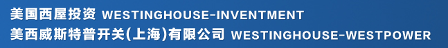 WESTINGHOUSE-WESTPOWER